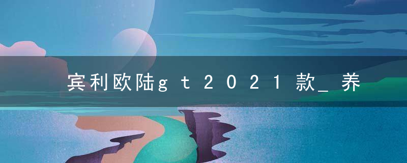 宾利欧陆gt2021款_养一台宾利欧陆一年的费用