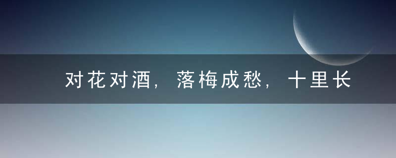 对花对酒,落梅成愁,十里长亭水悠悠。50句唯美古风句