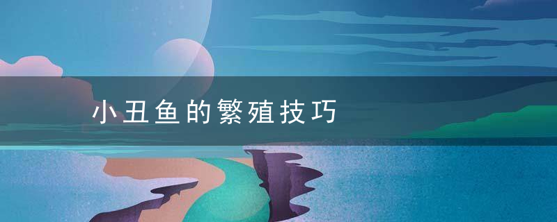 小丑鱼的繁殖技巧，小丑鱼繁殖技术培训