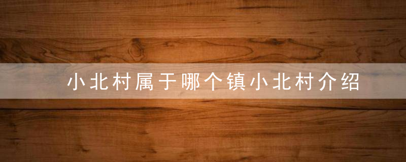 小北村属于哪个镇小北村介绍，北村村百科