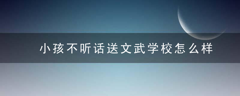 小孩不听话送文武学校怎么样 小孩不听话送文武学校好不好呢