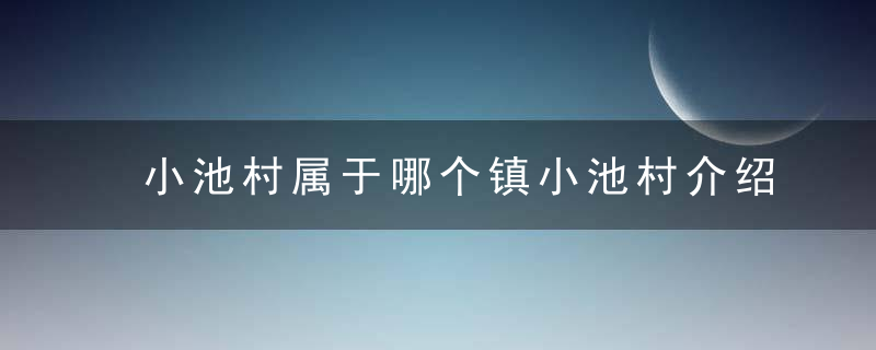 小池村属于哪个镇小池村介绍，小池镇有多大