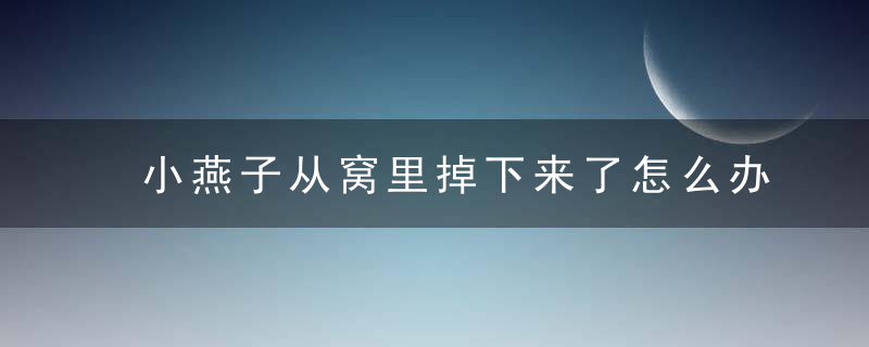 小燕子从窝里掉下来了怎么办