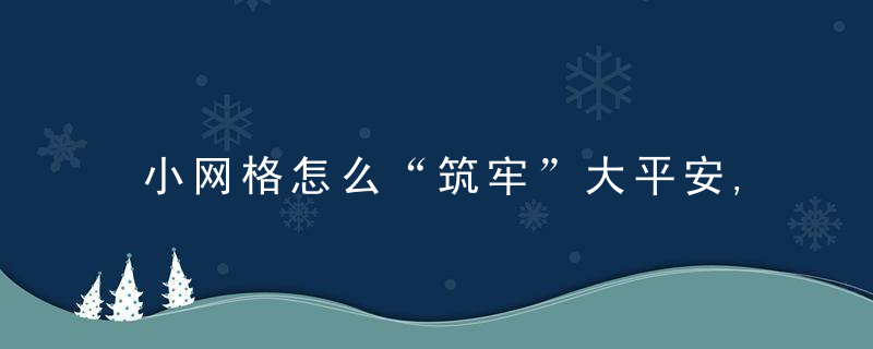 小网格怎么“筑牢”大平安,近日最新