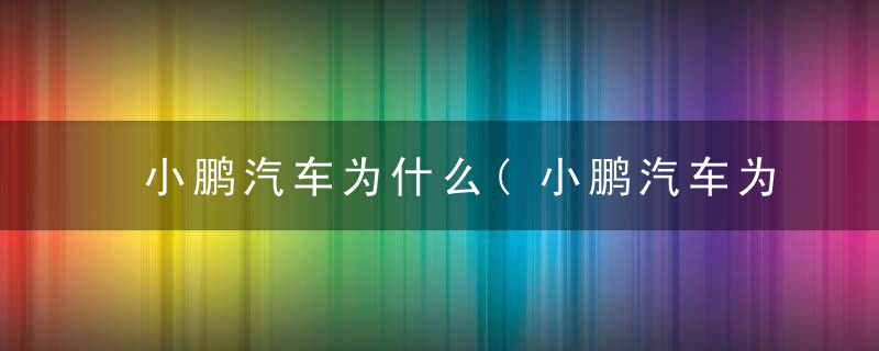 小鹏汽车为什么(小鹏汽车为什么能成功)