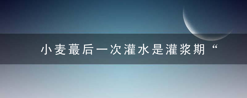 小麦蕞后一次灌水是灌浆期“小满不满,麦有一险”,蕞