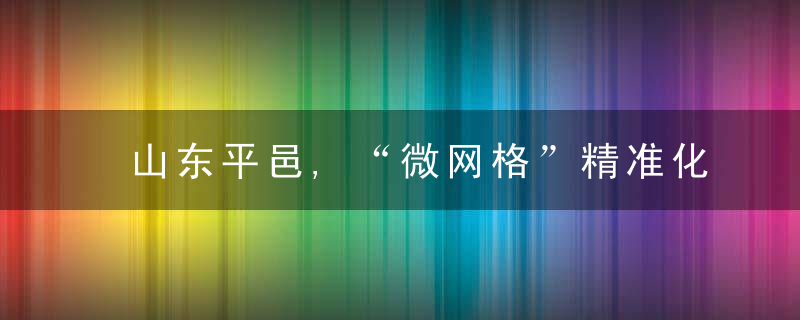 山东平邑,“微网格”精准化管理实现“小事不出‘格’,