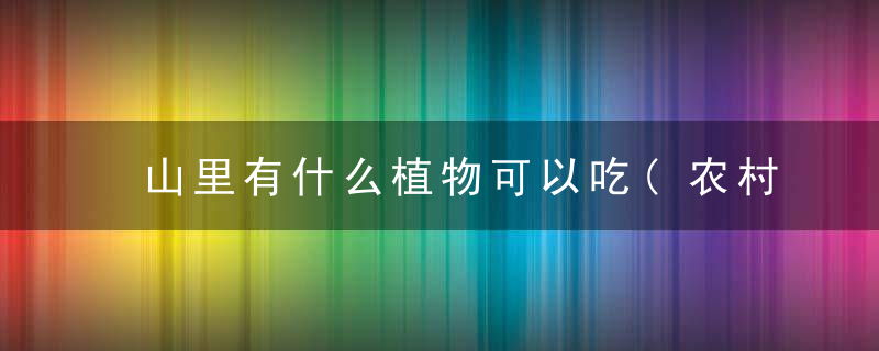 山里有什么植物可以吃(农村一种打雷才有的植物)