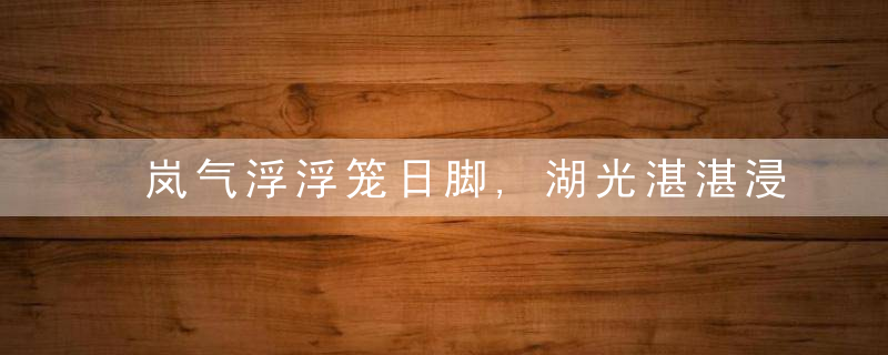 岚气浮浮笼日脚,湖光湛湛浸山胸,海空