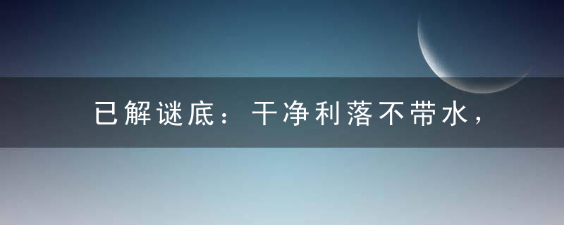 已解谜底：干净利落不带水，龙腾虎跃满天飞打一生肖动物