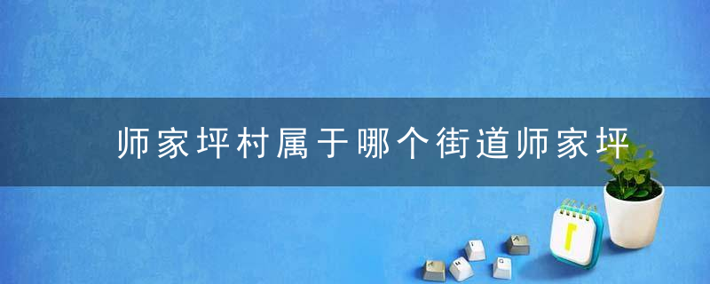 师家坪村属于哪个街道师家坪村介绍，贺家坪有几个村