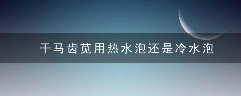 干马齿苋用热水泡还是冷水泡