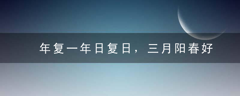 年复一年日复日，三月阳春好风光指什么生肖是什么意思