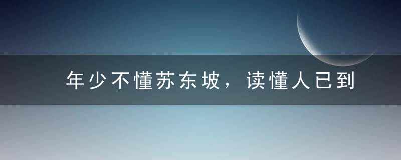 年少不懂苏东坡，读懂人已到中年