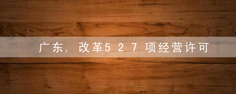 广东,改革527项经营许可事项,服务市场要素自由流动