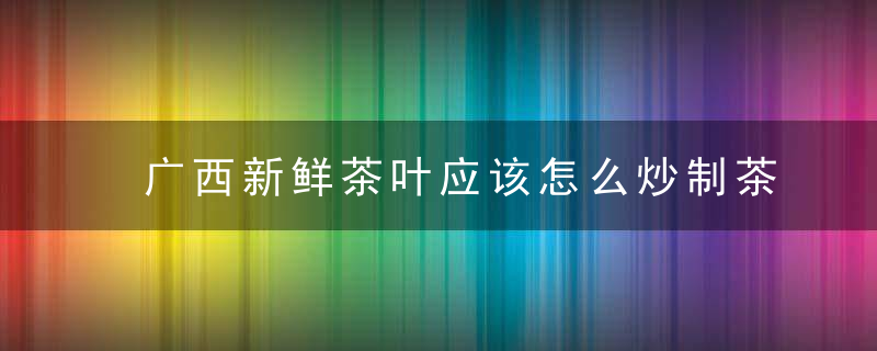 广西新鲜茶叶应该怎么炒制茶叶 广西新鲜茶叶怎么炒制茶叶