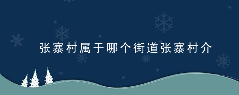 张寨村属于哪个街道张寨村介绍，张寨村村委会