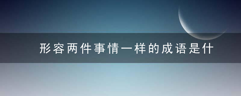 形容两件事情一样的成语是什么成语