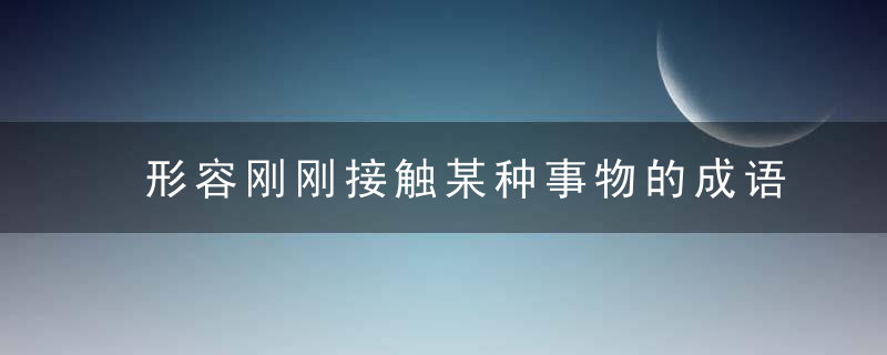 形容刚刚接触某种事物的成语大全