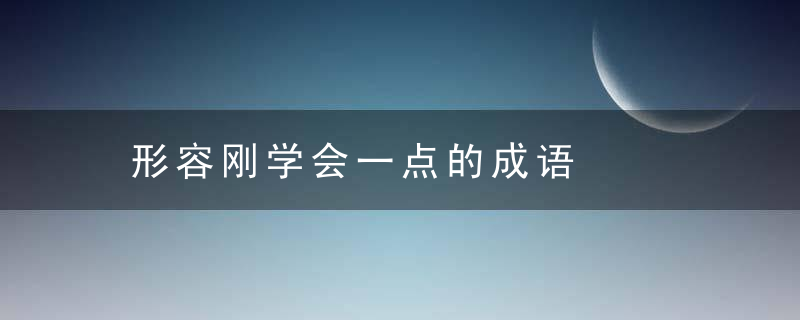 形容刚学会一点的成语