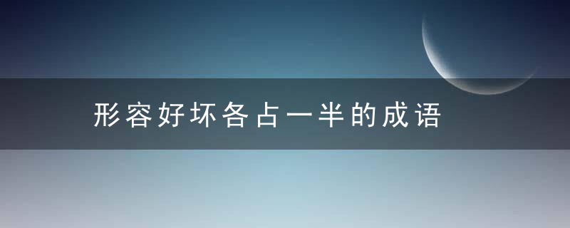 形容好坏各占一半的成语