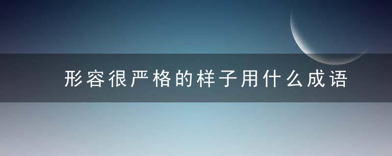 形容很严格的样子用什么成语