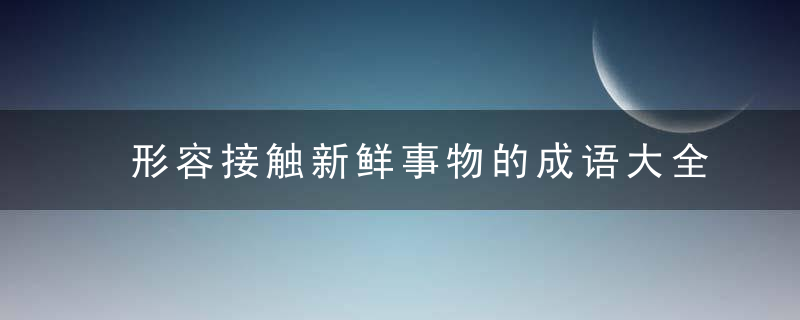 形容接触新鲜事物的成语大全