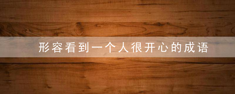 形容看到一个人很开心的成语