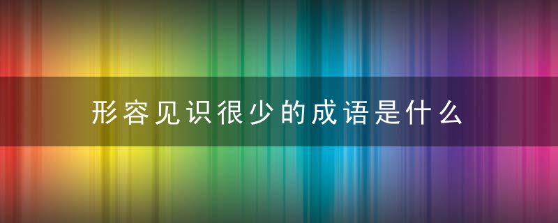 形容见识很少的成语是什么