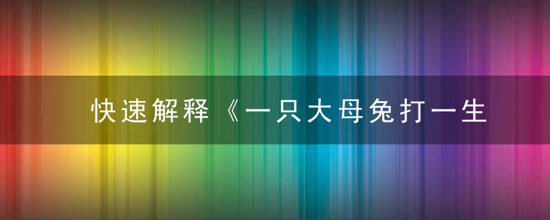 快速解释《一只大母兔打一生肖》是什么生肖指什么动物