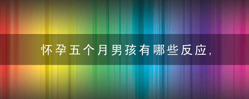 怀孕五个月男孩有哪些反应,孕五个月怀男孩的症状