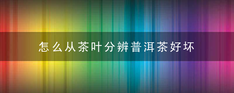 怎么从茶叶分辨普洱茶好坏