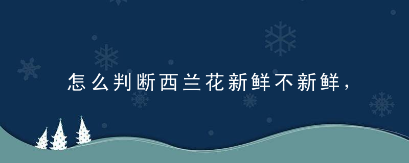 怎么判断西兰花新鲜不新鲜，西兰花怎么看新鲜不新鲜