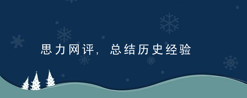 思力网评,总结历史经验