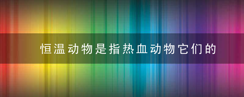 恒温动物是指热血动物它们的体温