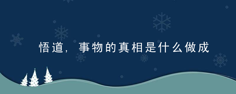 悟道,事物的真相是什么做成事的根本是什么