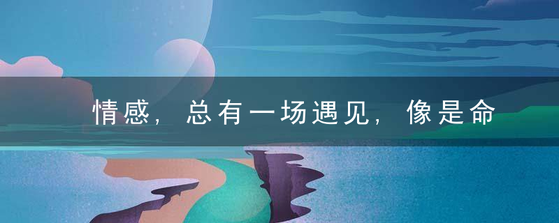 情感,总有一场遇见,像是命中注定