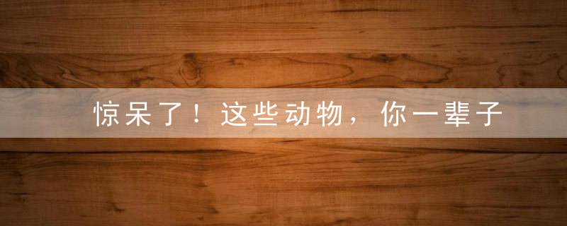 惊呆了！这些动物，你一辈子都没见过！