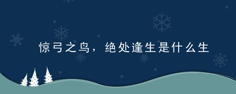 惊弓之鸟，绝处逢生是什么生肖（打一生肖）深圳疫情防控新闻措施