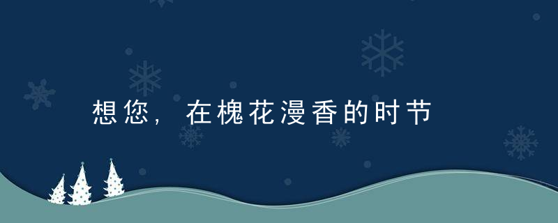 想您,在槐花漫香的时节