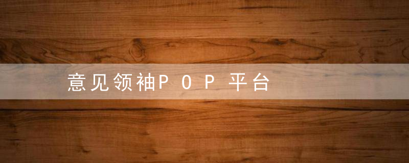 意见领袖POP平台