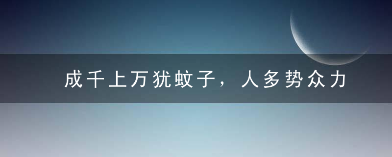 成千上万犹蚊子，人多势众力量大打一生肖指什么意思谜底已揭晓