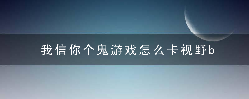 我信你个鬼游戏怎么卡视野bug