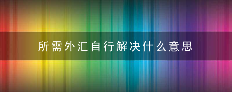 所需外汇自行解决什么意思