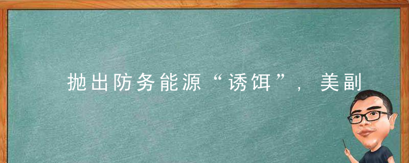 抛出防务能源“诱饵”,美副国务卿极力鼓动印度“反对中