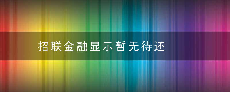 招联金融显示暂无待还