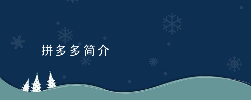 拼多多简介