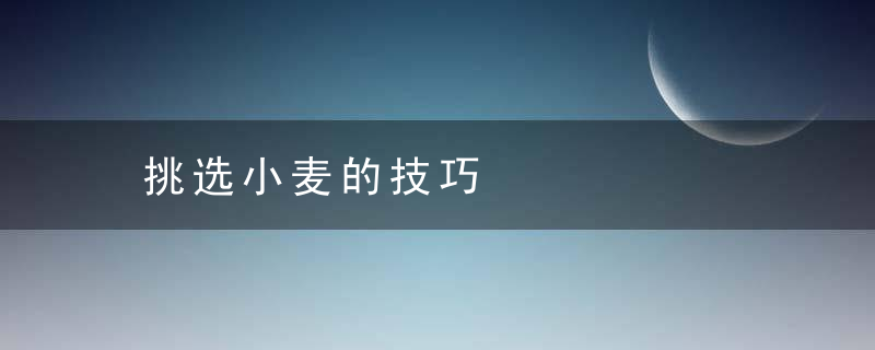 挑选小麦的技巧