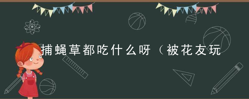 捕蝇草都吃什么呀（被花友玩坏的捕蝇草）