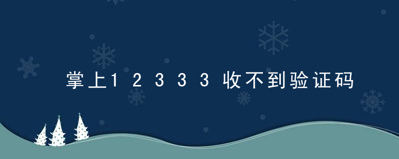 掌上12333收不到验证码怎么回事